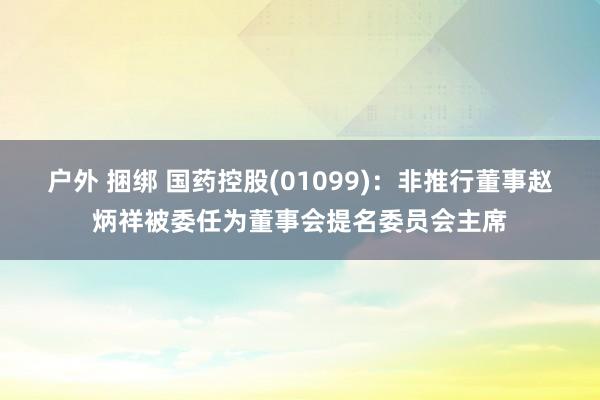 户外 捆绑 国药控股(01099)：非推行董事赵炳祥被委任为董事会提名委员会主席