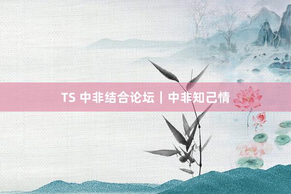 TS 中非结合论坛｜中非知己情