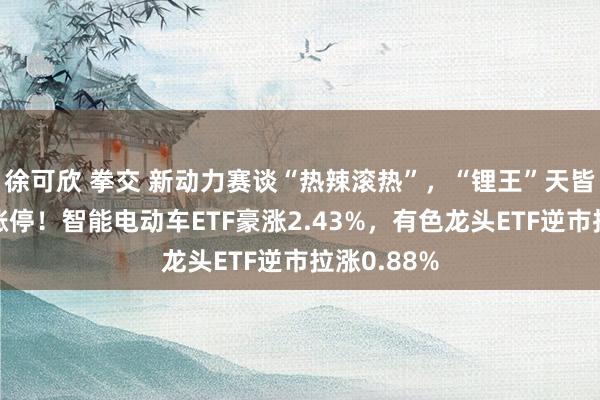 徐可欣 拳交 新动力赛谈“热辣滚热”，“锂王”天皆锂业萧疏涨停！智能电动车ETF豪涨2.43%，有色龙头ETF逆市拉涨0.88%