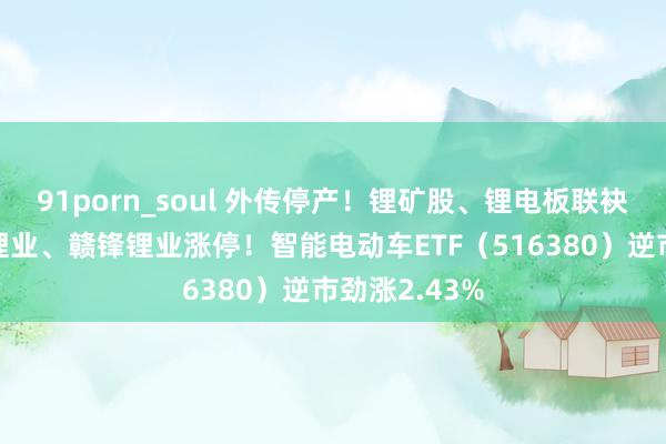 91porn_soul 外传停产！锂矿股、锂电板联袂狂飙，天都锂业、赣锋锂业涨停！智能电动车ETF（516380）逆市劲涨2.43%