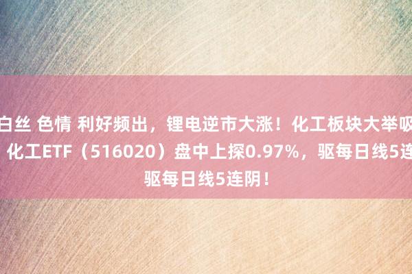 白丝 色情 利好频出，锂电逆市大涨！化工板块大举吸金，化工ETF（516020）盘中上探0.97%，驱每日线5连阴！