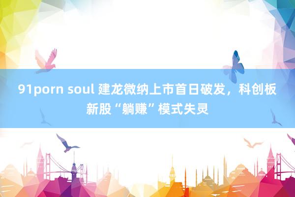 91porn soul 建龙微纳上市首日破发，科创板新股“躺赚”模式失灵