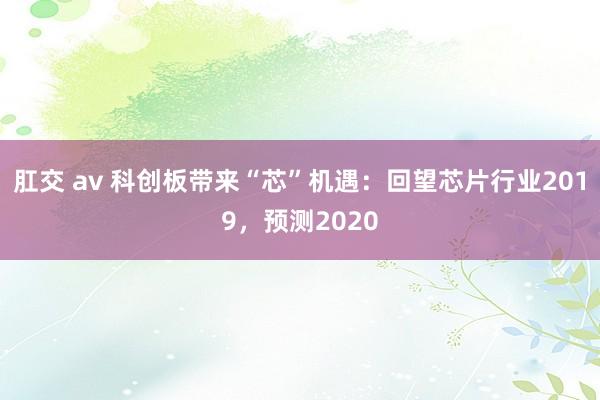 肛交 av 科创板带来“芯”机遇：回望芯片行业2019，预测2020