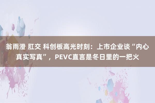 翁雨澄 肛交 科创板高光时刻：上市企业谈“内心真实写真”，PEVC直言是冬日里的一把火