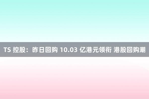 TS 控股：昨日回购 10.03 亿港元领衔 港股回购潮