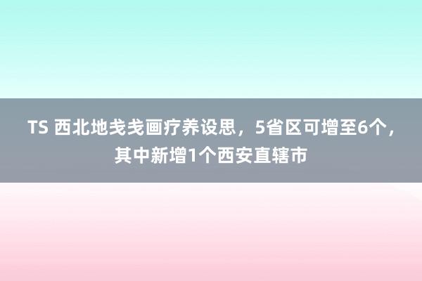 TS 西北地戋戋画疗养设思，5省区可增至6个，其中新增1个西安直辖市