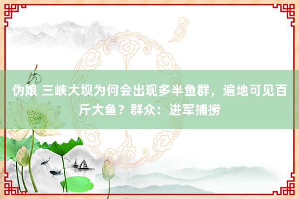 伪娘 三峡大坝为何会出现多半鱼群，遍地可见百斤大鱼？群众：进军捕捞