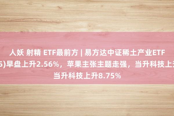 人妖 射精 ETF最前方 | 易方达中证稀土产业ETF(159715)早盘上升2.56%，苹果主张主题走强，当升科技上升8.75%