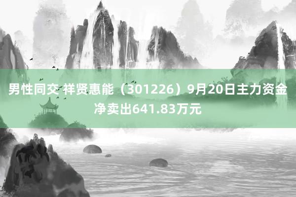 男性同交 祥贤惠能（301226）9月20日主力资金净卖出641.83万元