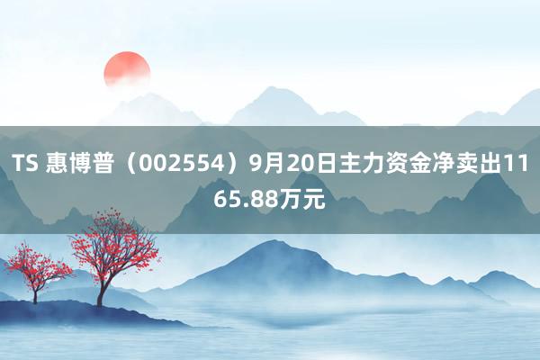 TS 惠博普（002554）9月20日主力资金净卖出1165.88万元