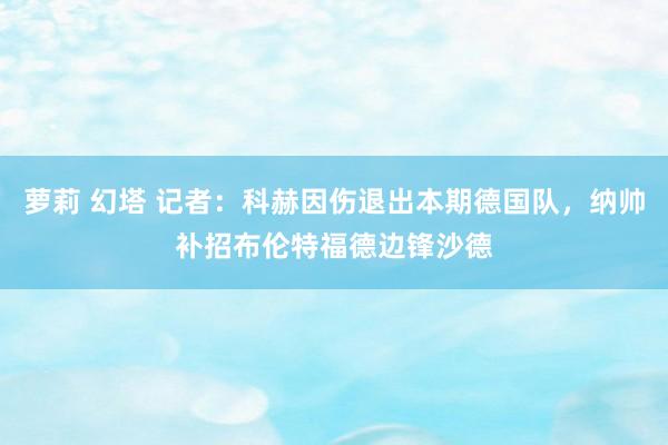 萝莉 幻塔 记者：科赫因伤退出本期德国队，纳帅补招布伦特福德边锋沙德