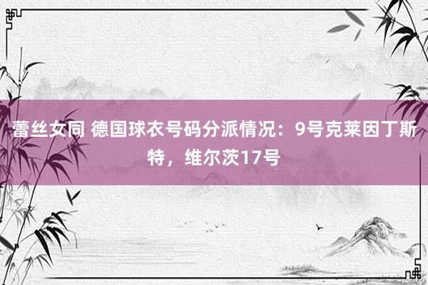 蕾丝女同 德国球衣号码分派情况：9号克莱因丁斯特，维尔茨17号