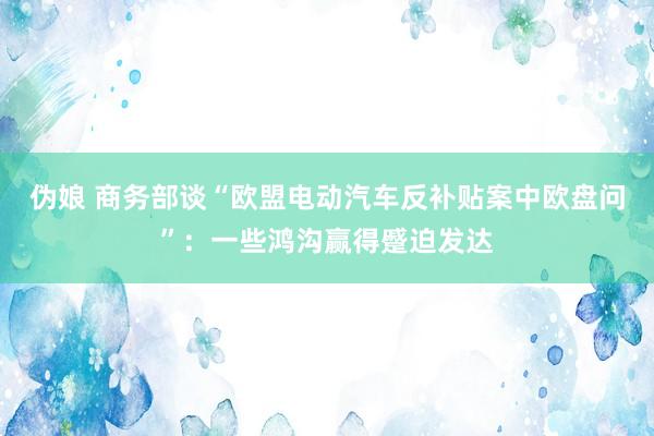 伪娘 商务部谈“欧盟电动汽车反补贴案中欧盘问”：一些鸿沟赢得蹙迫发达