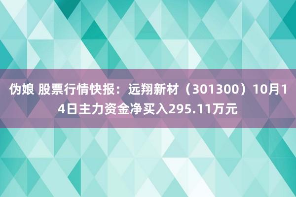 伪娘 股票行情快报：远翔新材（301300）10月14日主力资金净买入295.11万元