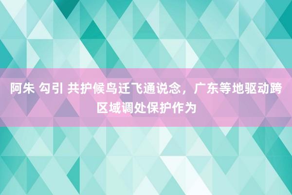 阿朱 勾引 共护候鸟迁飞通说念，广东等地驱动跨区域调处保护作为