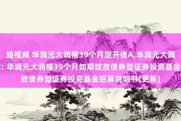 短视频 华润元大润禧39个月定开债A,华润元大润禧39个月定开债C: 华润元大润禧39个月如期绽放债券型证券投资基金招募说明书(更新)