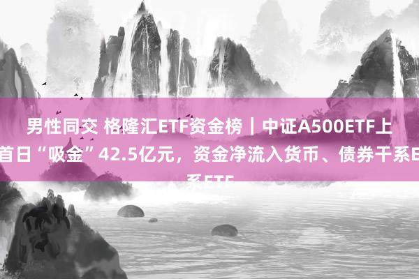 男性同交 格隆汇ETF资金榜｜中证A500ETF上市首日“吸金”42.5亿元，资金净流入货币、债券干系ETF