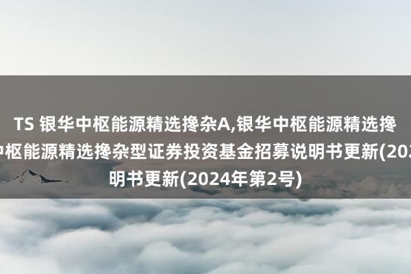 TS 银华中枢能源精选搀杂A，银华中枢能源精选搀杂C: 银华中枢能源精选搀杂型证券投资基金招募说明书更新(2024年第2号)