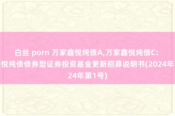 白丝 porn 万家鑫悦纯债A，万家鑫悦纯债C: 万家鑫悦纯债债券型证券投资基金更新招募说明书(2024年第1号)