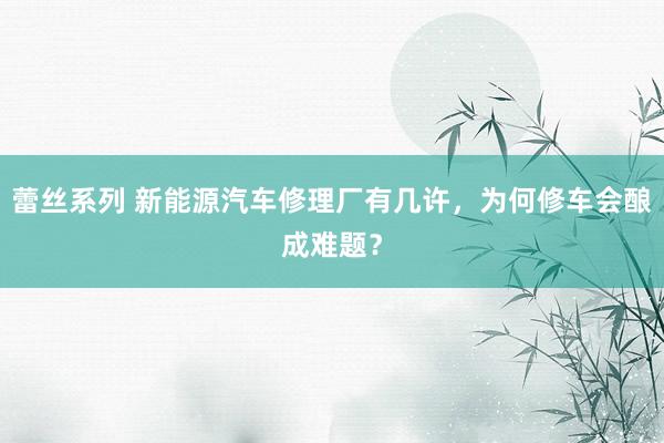 蕾丝系列 新能源汽车修理厂有几许，为何修车会酿成难题？