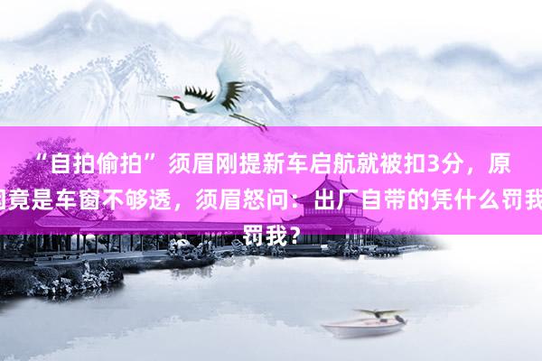 “自拍偷拍” 须眉刚提新车启航就被扣3分，原因竟是车窗不够透，须眉怒问：出厂自带的凭什么罚我？