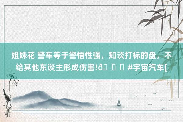 姐妹花 警车等于警悟性强，知谈打标的盘，不给其他东谈主形成伤害!👍#宇宙汽车[