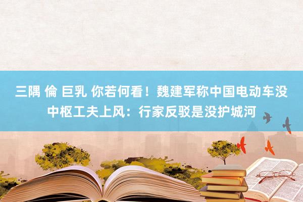 三隅 倫 巨乳 你若何看！魏建军称中国电动车没中枢工夫上风：行家反驳是没护城河