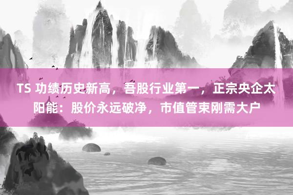 TS 功绩历史新高，吾股行业第一，正宗央企太阳能：股价永远破净，市值管束刚需大户