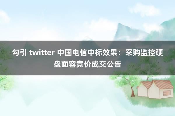 勾引 twitter 中国电信中标效果：采购监控硬盘面容竞价成交公告