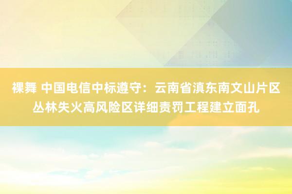 裸舞 中国电信中标遵守：云南省滇东南文山片区丛林失火高风险区详细责罚工程建立面孔