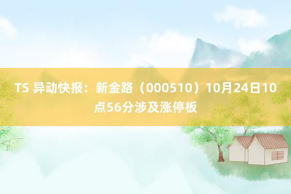 TS 异动快报：新金路（000510）10月24日10点56分涉及涨停板