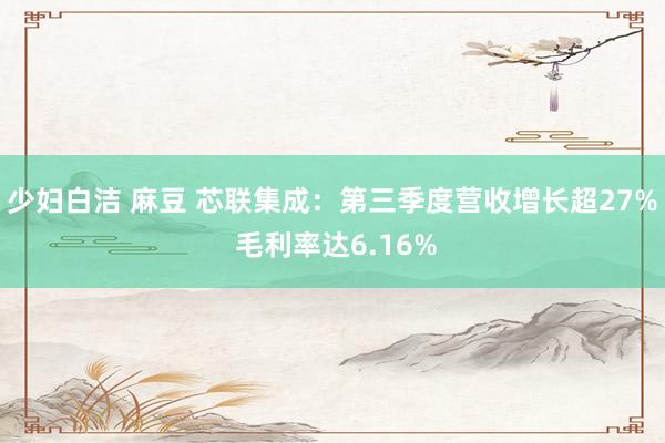 少妇白洁 麻豆 芯联集成：第三季度营收增长超27% 毛利率达6.16%