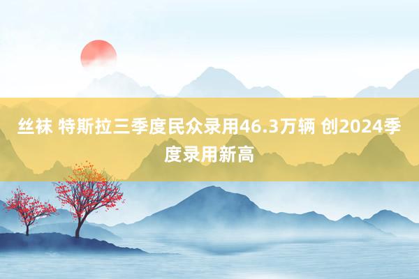 丝袜 特斯拉三季度民众录用46.3万辆 创2024季度录用新高