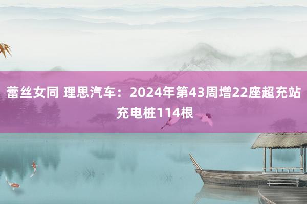 蕾丝女同 理思汽车：2024年第43周增22座超充站 充电桩114根