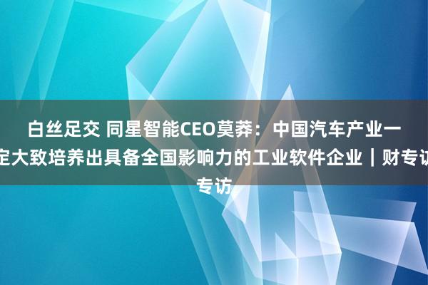 白丝足交 同星智能CEO莫莽：中国汽车产业一定大致培养出具备全国影响力的工业软件企业｜财专访