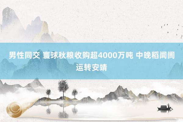 男性同交 寰球秋粮收购超4000万吨 中晚稻阛阓运转安靖