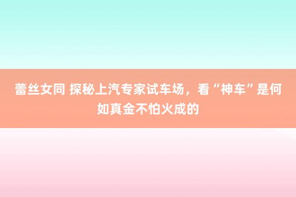 蕾丝女同 探秘上汽专家试车场，看“神车”是何如真金不怕火成的