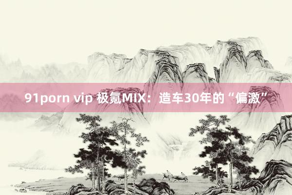 91porn vip 极氪MIX：造车30年的“偏激”