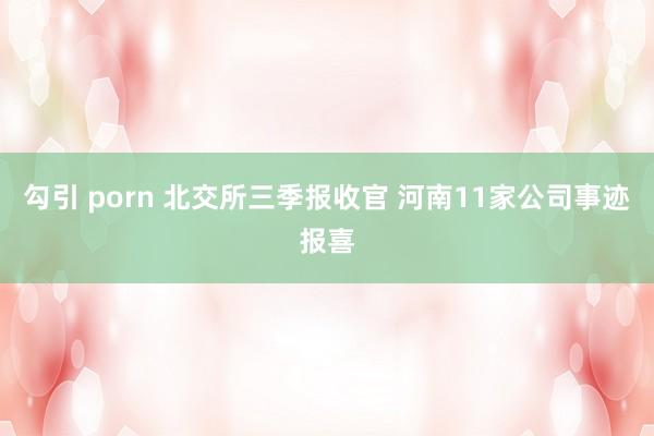 勾引 porn 北交所三季报收官 河南11家公司事迹报喜