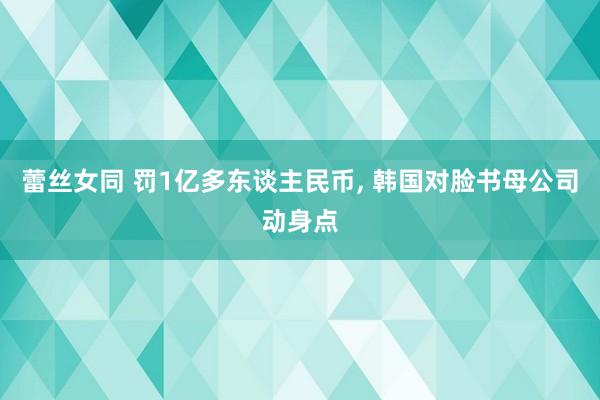 蕾丝女同 罚1亿多东谈主民币， 韩国对脸书母公司动身点