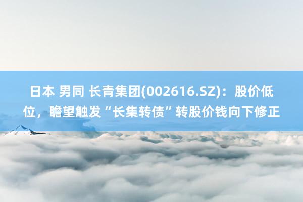 日本 男同 长青集团(002616.SZ)：股价低位，瞻望触发“长集转债”转股价钱向下修正