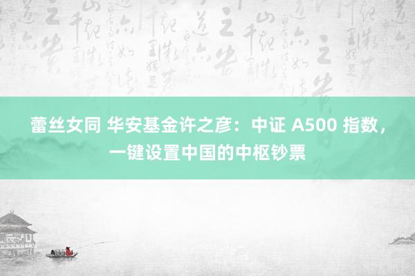 蕾丝女同 华安基金许之彦：中证 A500 指数，一键设置中国的中枢钞票