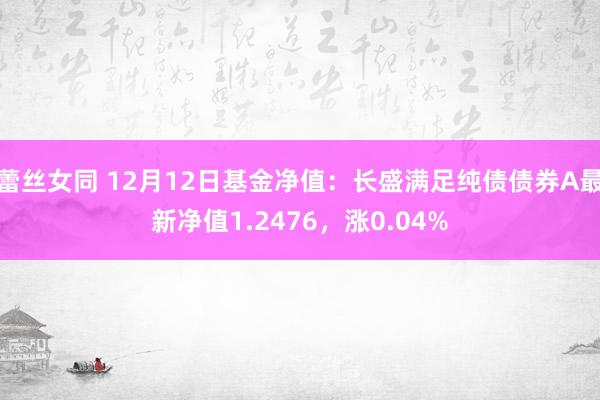 蕾丝女同 12月12日基金净值：长盛满足纯债债券A最新净值1.2476，涨0.04%