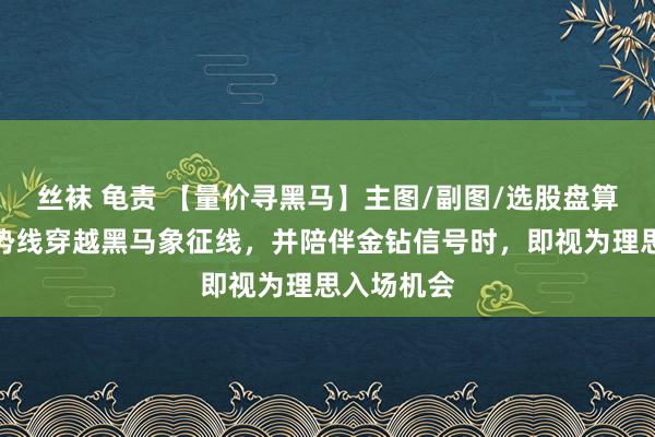 丝袜 龟责 【量价寻黑马】主图/副图/选股盘算，量价趋势线穿越黑马象征线，并陪伴金钻信号时，即视为理思入场机会