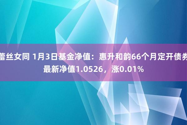 蕾丝女同 1月3日基金净值：惠升和韵66个月定开债券最新净值1.0526，涨0.01%