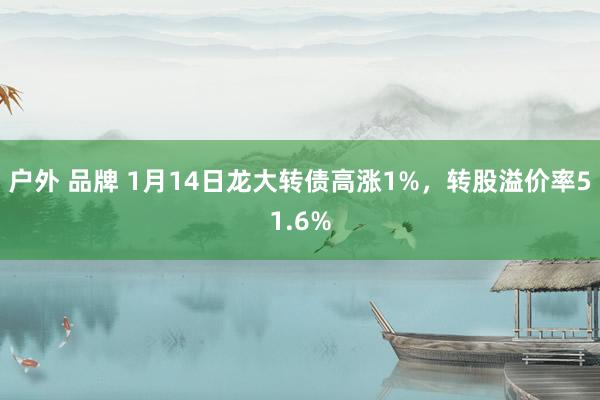 户外 品牌 1月14日龙大转债高涨1%，转股溢价率51.6%