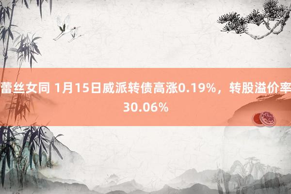 蕾丝女同 1月15日威派转债高涨0.19%，转股溢价率30.06%