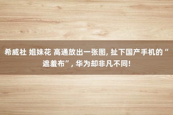 希威社 姐妹花 高通放出一张图， 扯下国产手机的“遮羞布”， 华为却非凡不同!