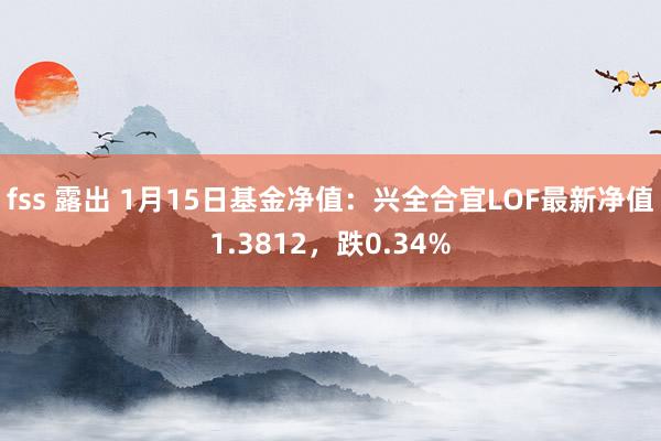 fss 露出 1月15日基金净值：兴全合宜LOF最新净值1.3812，跌0.34%